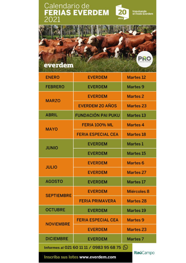 Catalogo Everdem 04