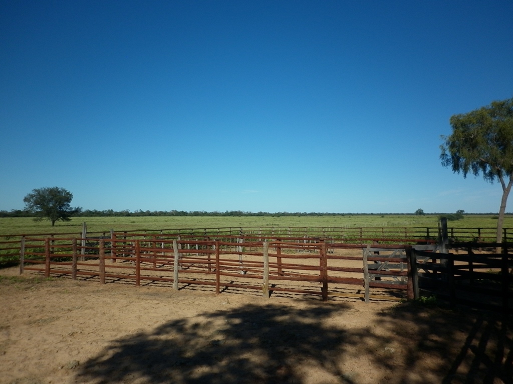Establecimiento de 6.009 hectáreas en Parapiti-Tte Enciso 3