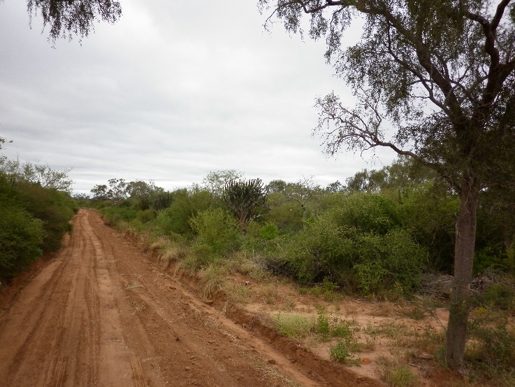 Establecimiento de 6.009 hectáreas en Parapiti-Tte Enciso 2