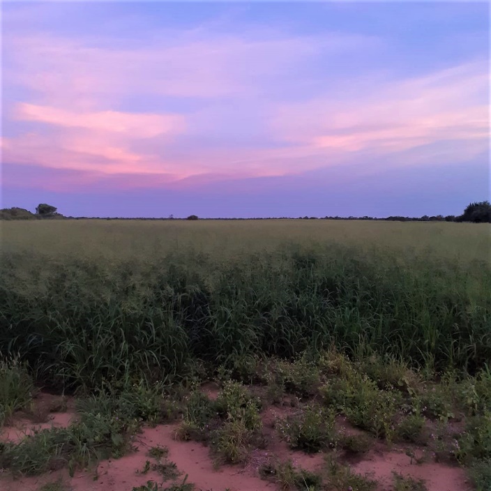 Establecimiento de 6.009 hectáreas en Parapiti-Tte Enciso 0