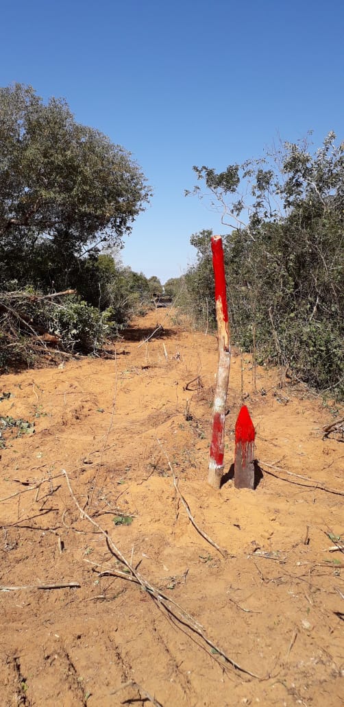 Monte de 8.050 hectáreas en Chovoreca 0