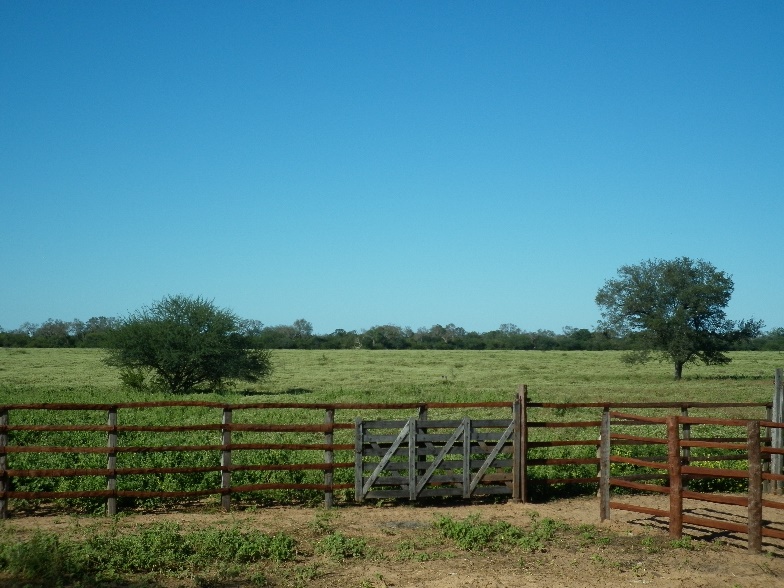 Establecimiento de 6.009 hectáreas en Parapiti-Tte Enciso 1