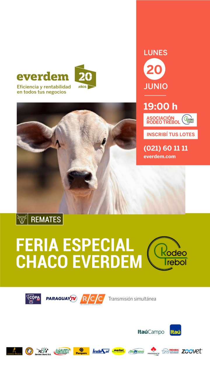 Feria 20 Junio