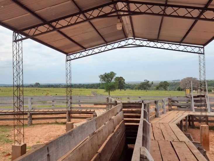Establecimiento de 1.375 hectÃ¡reas en Capiibary 8