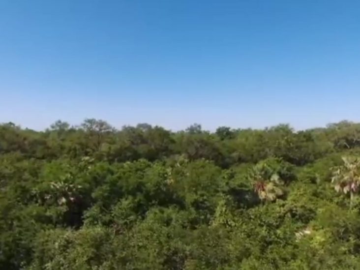 Monte de 10.387 hectÃ¡reas en BahÃ­a Negra 0