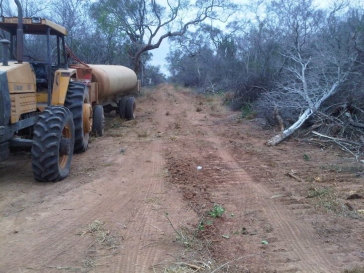 Monte de 4.002 hectÃ¡reas en Teniente Pico 0