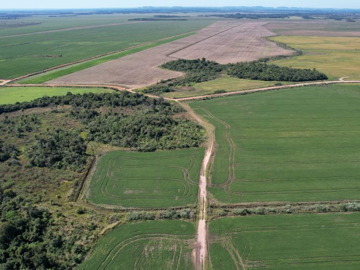 Establecimiento de 2.503 hectáreas en San Pedro del Paraná. 1