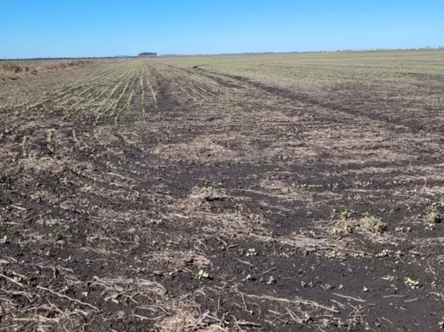 Establecimiento de 2.503 hectáreas en San Pedro del Paraná. 2