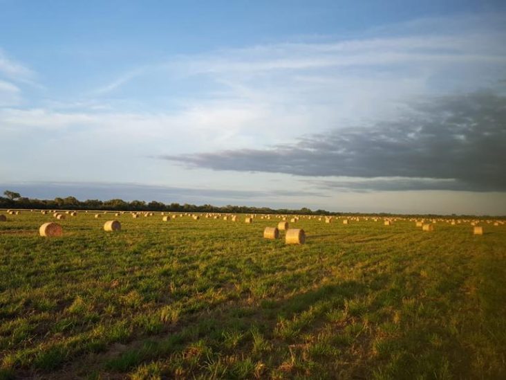 Establecimiento de 12.588 hectáreas en Mariscal Estigarribia. 0