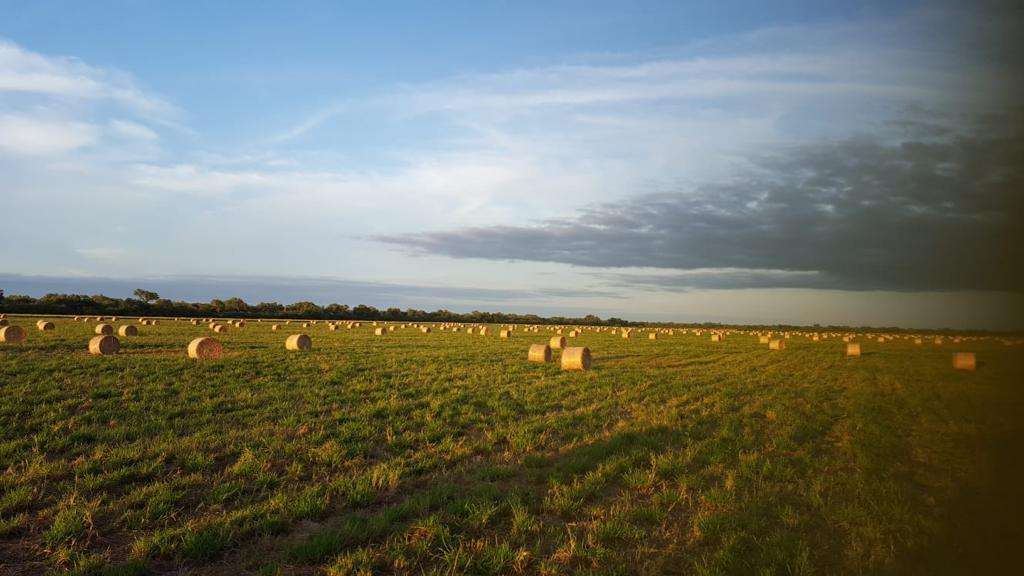 Whatsapp Image 2023 10 02 At 10.30.07