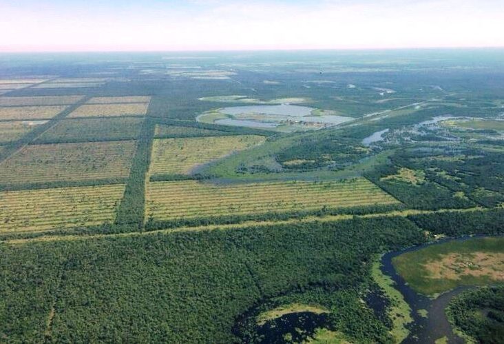 Establecimeinto de 17.000 hectÃ¡reas en Salazar 0