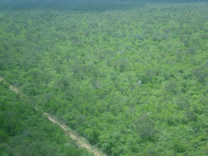 Monte de 4.200 hectÃ¡reas en Parapiti 0