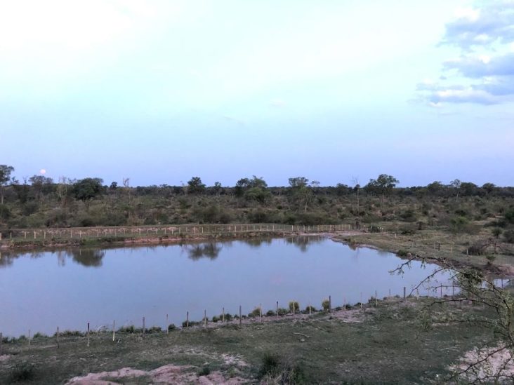 Establecimiento de 11.574 hectáreas en Monte Lindo. 9