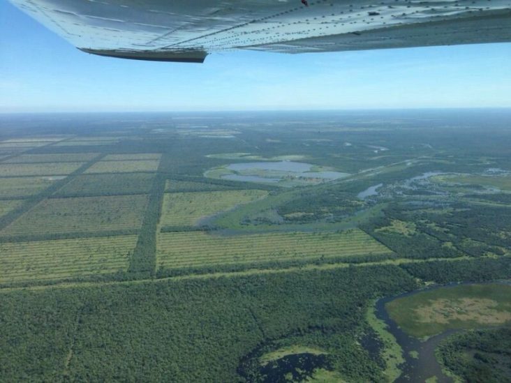 Monte de 6.000 hectÃ¡reas en Nueva Mestre. 1
