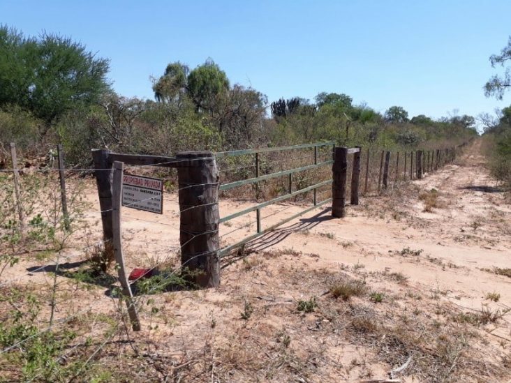 Monte de 5.000 hectáreas en Teniente Enciso. 1