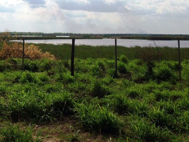 Establecimeinto de 17.000 hectÃ¡reas en Salazar 2