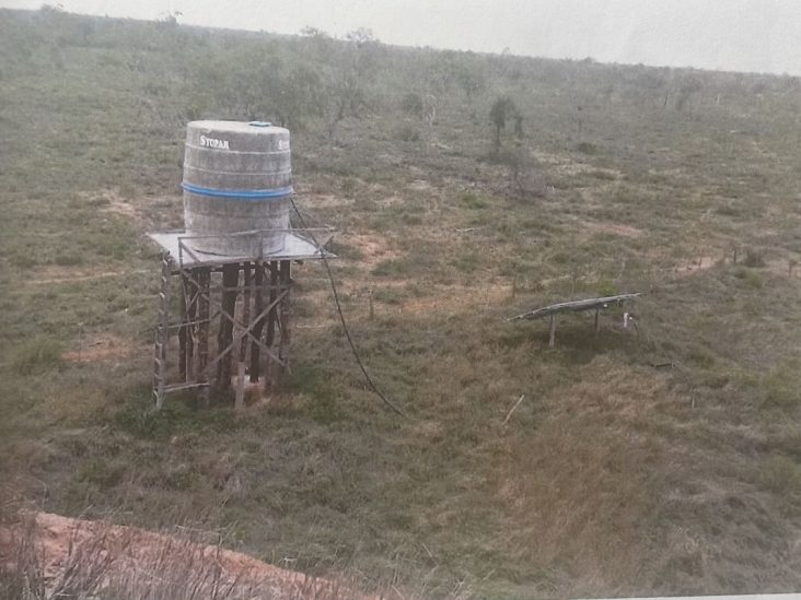 Monte de 4.399 hectÃ¡reas en Teniente Pico 4