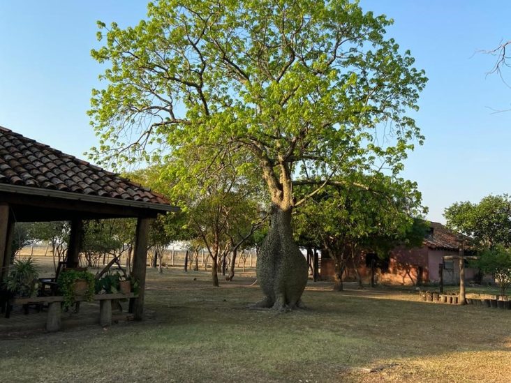 Establecimiento de 11.574 hectáreas en Monte Lindo. 6