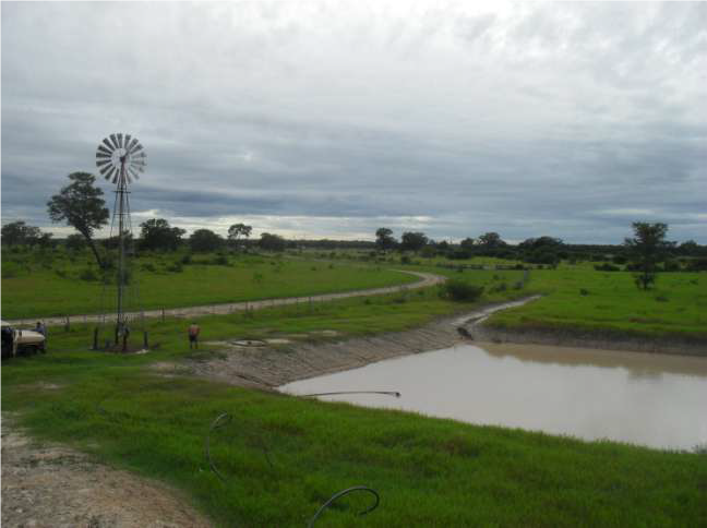 Establecimiento de 6.780 hectáreas en Loma Pora. 6