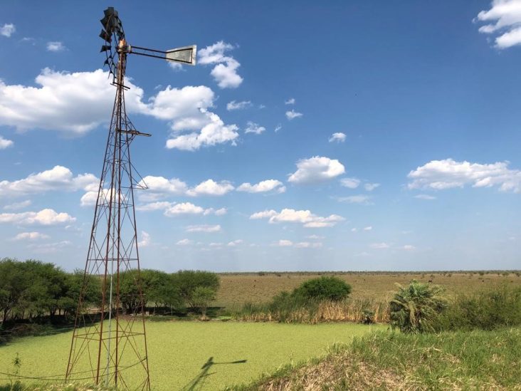Establecimiento de 11.574 hectáreas en Monte Lindo. 8