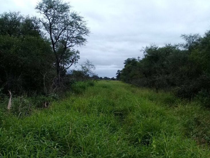 Establecimiento de 7.825 hectáreas en Pozo Hondo. 1