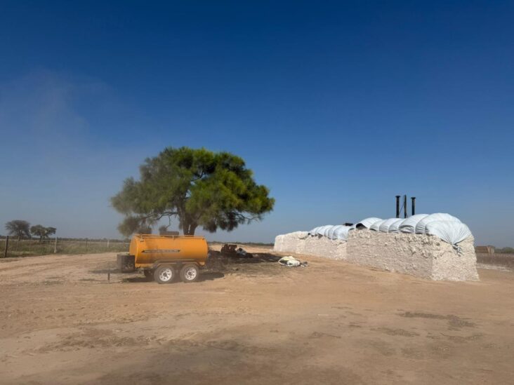 Establecimiento de 2.918 hectáreas en Irala Fernández. 5