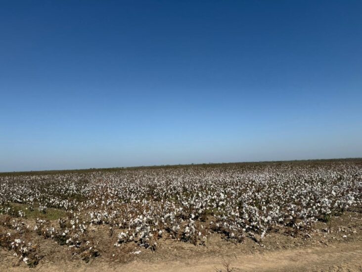 Establecimiento de 2.918 hectáreas en Irala Fernández. 6