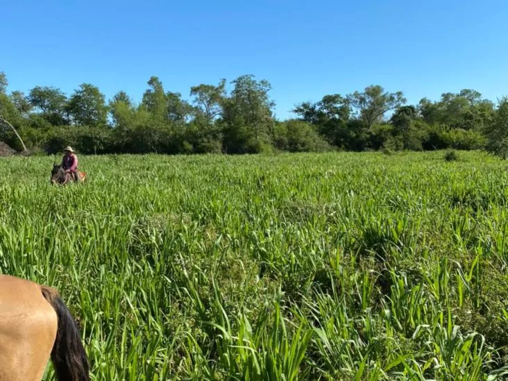 Establecimiento de 4.000 hectáreas en Bahía Negra. 1