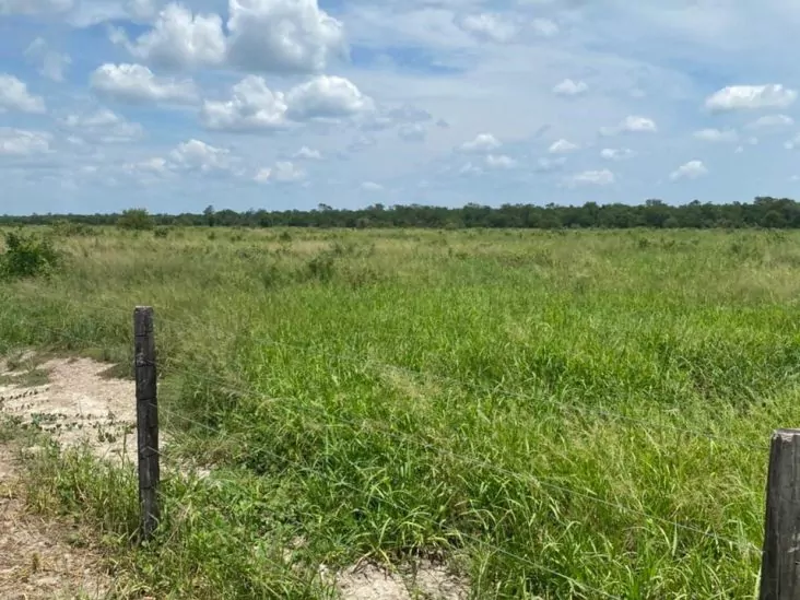 Establecimiento de 4.000 hectáreas en Bahía Negra. 2