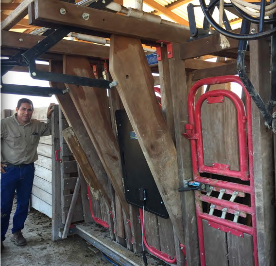 Establecimiento de 6.000 hectáreas en Bahía Negra. 3