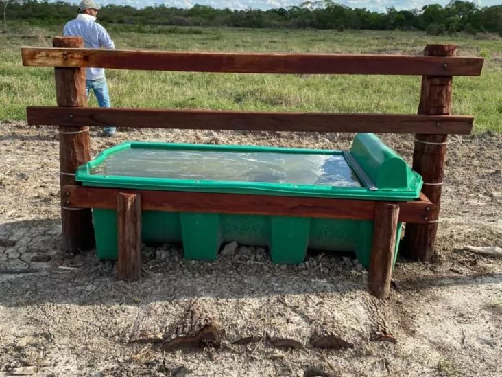 Establecimiento de 4.000 hectáreas en Bahía Negra. 4