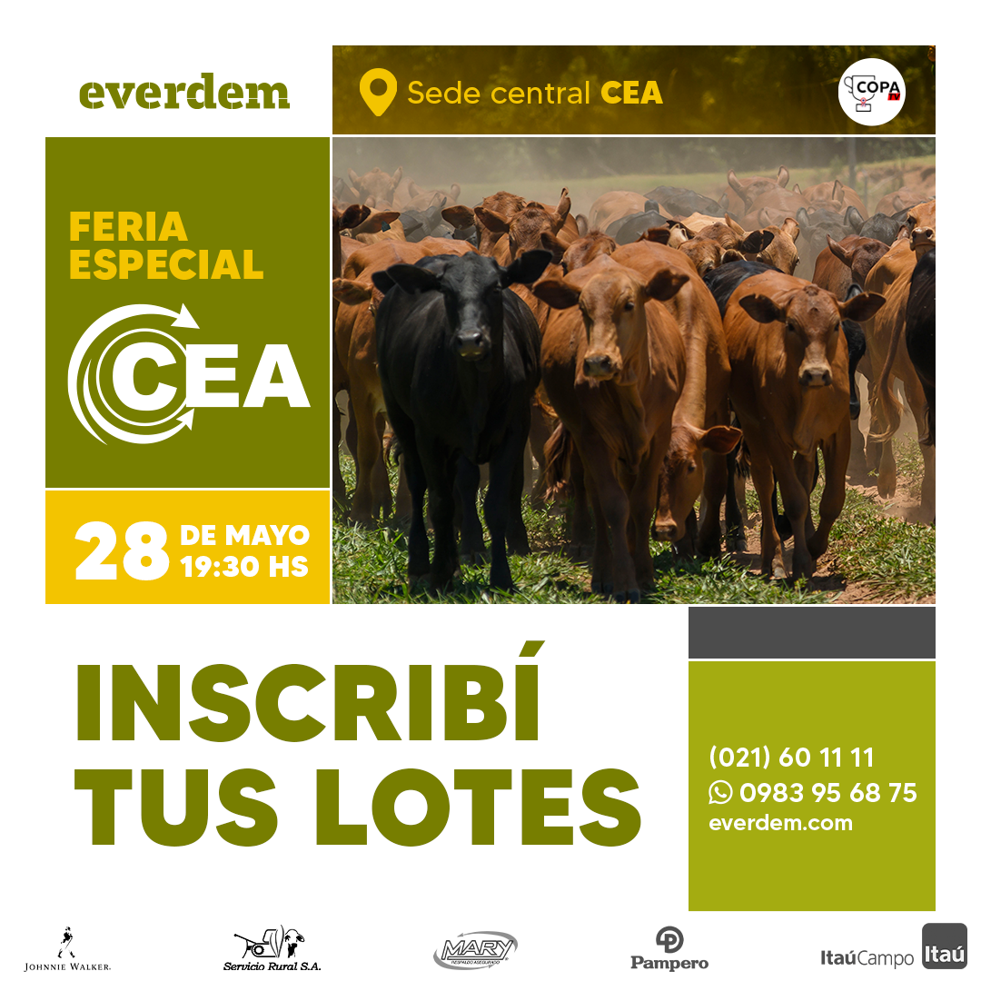 Feria Cea 1 1 (5) Mayooo