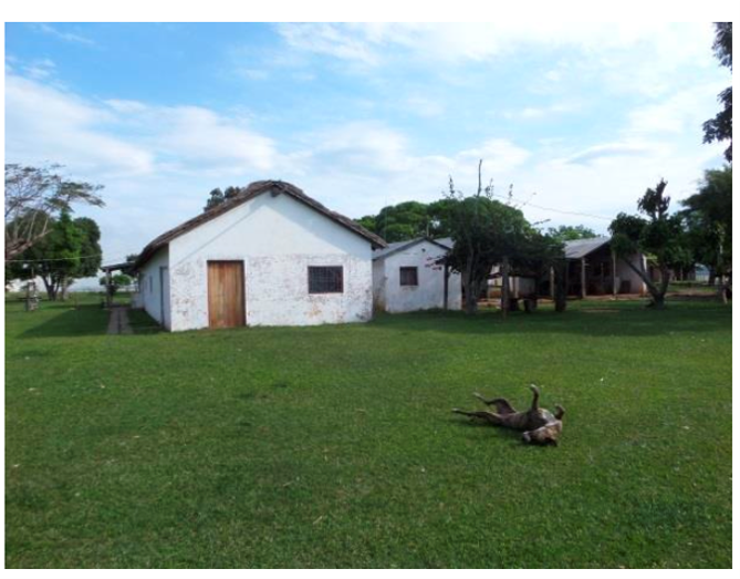 Establecimiento de 1.843 hectáreas en Caazapá. 3