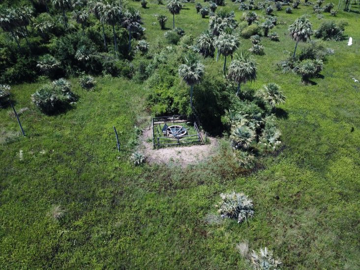 Establecimiento de 2.518 hectáreas en Río Negro. 3