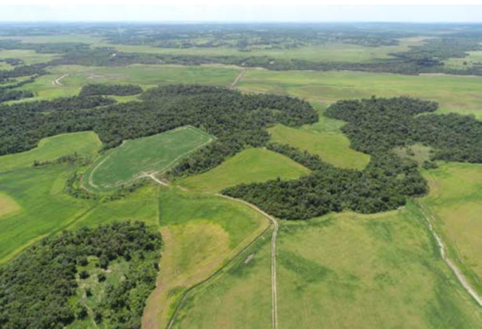 Establecimiento de 1.352 hectáreas en San Pedro del Paraná. 1