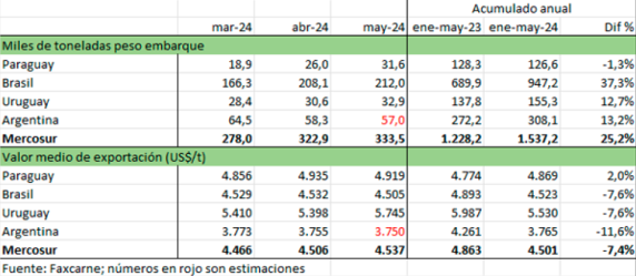 Exportaciones De Carne Vacuna Del Mercosur