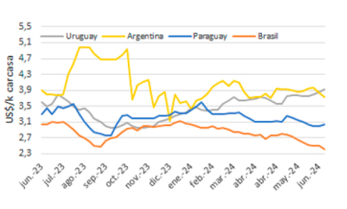 Precio Del Novillo En Mercosur