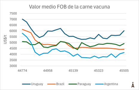 Valor Medio Fob