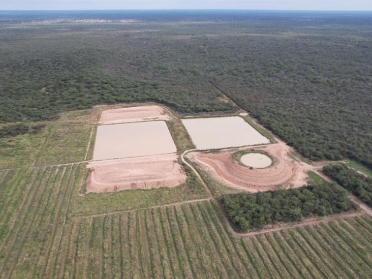 Establecimiento de 5.000 hectáreas en Teniente Montanía 1