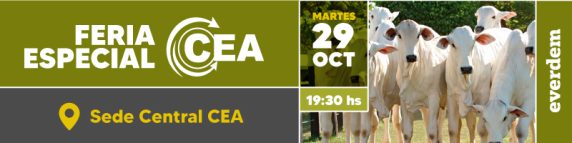 Boletin Everdem Feriacea 29oct