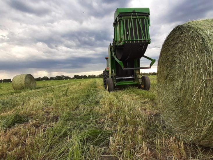 Establecimiento de 5.000 hectáreas en Parapití – La Patria 1