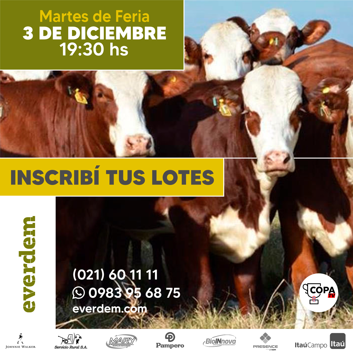 Everdem Feria 03dic