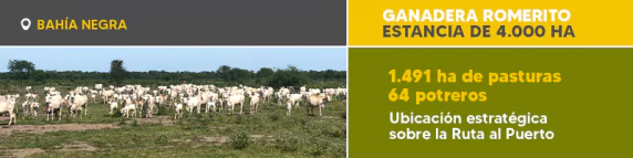 Banner Ref. 1104 Romerito 800x200 Boletin Everdem