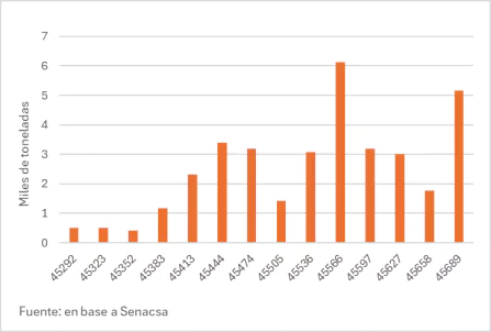 Exportaciones Paraguayas A Estados Unidos