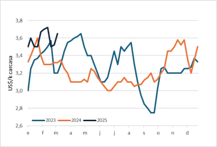 Macho Gordo En Paraguay