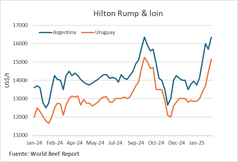 Mercado Internacional De La Carne Vacuna