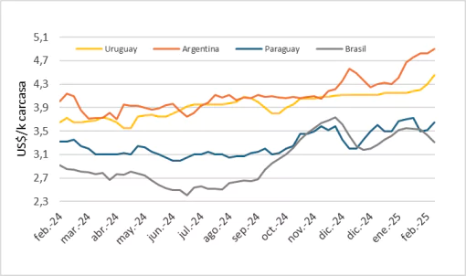 Precio Del Novillo En Mercosur