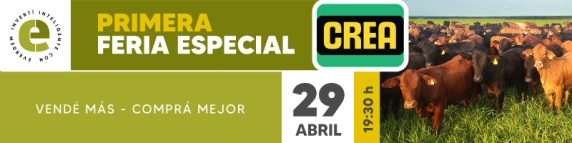 Everdem Feria 29abrilboletin Banner 800x200