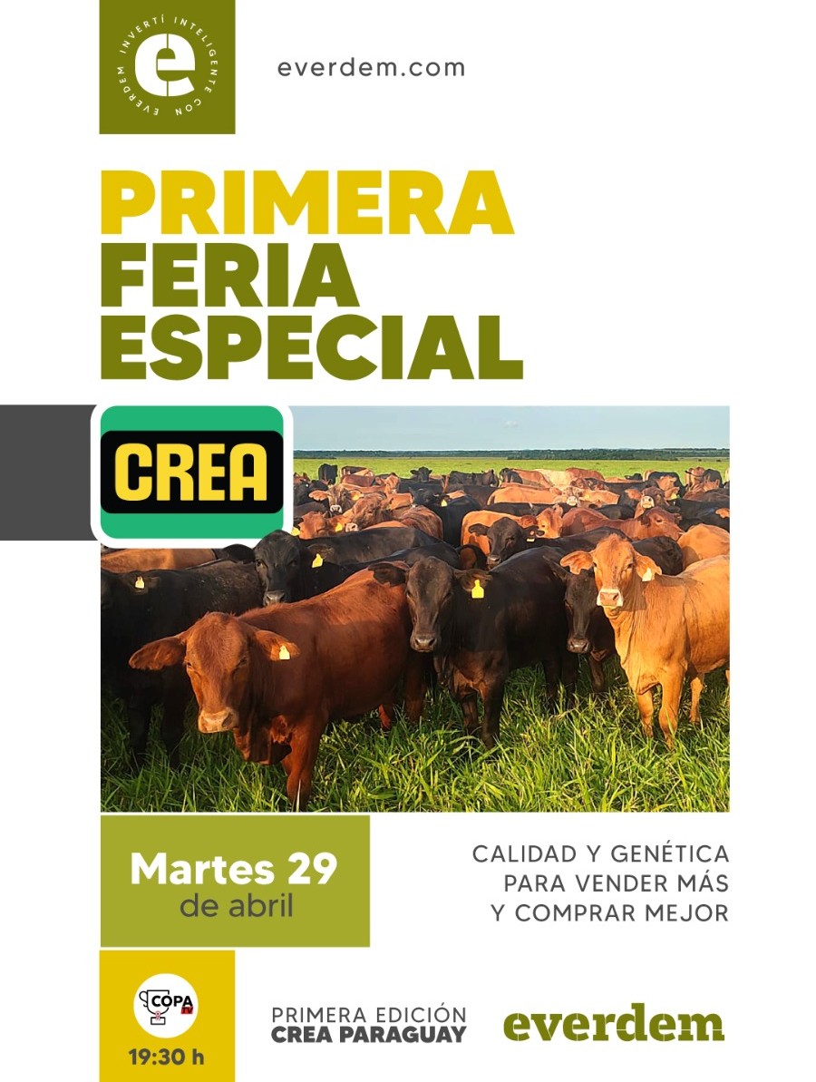 Feria Crea