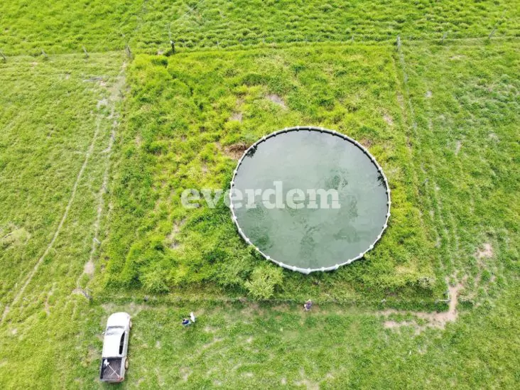 Establecimiento de 1.394 hectáreas en Unión – San Pedro 4